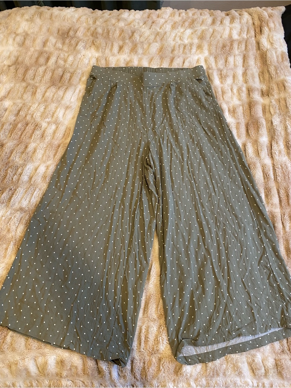 Torrid Polka Dot Pants